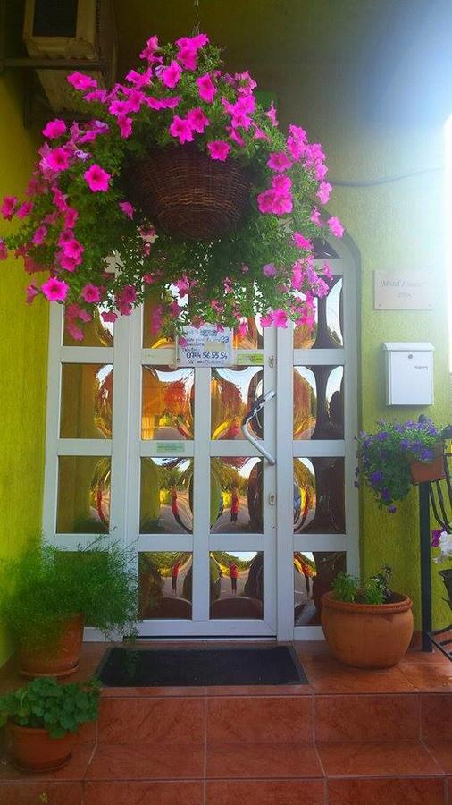 Motel Ioanis Mindruloc Екстер'єр фото